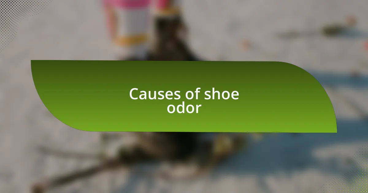 Causes of shoe odor