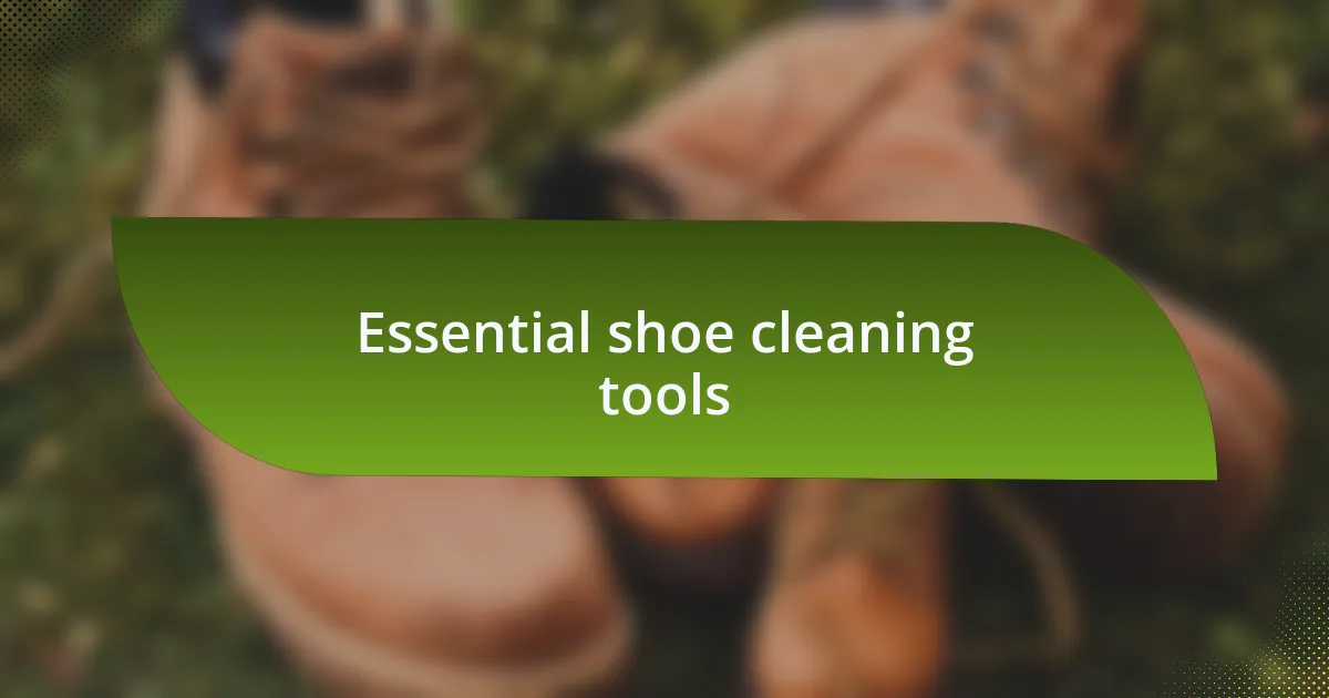 Essential shoe cleaning tools