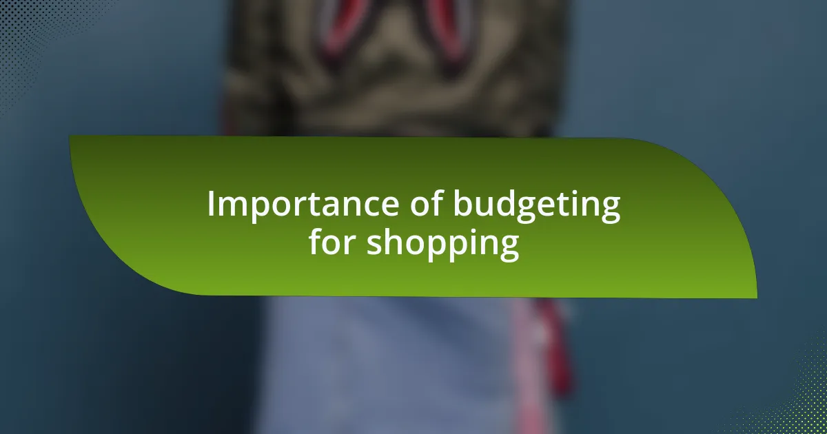 Importance of budgeting for shopping