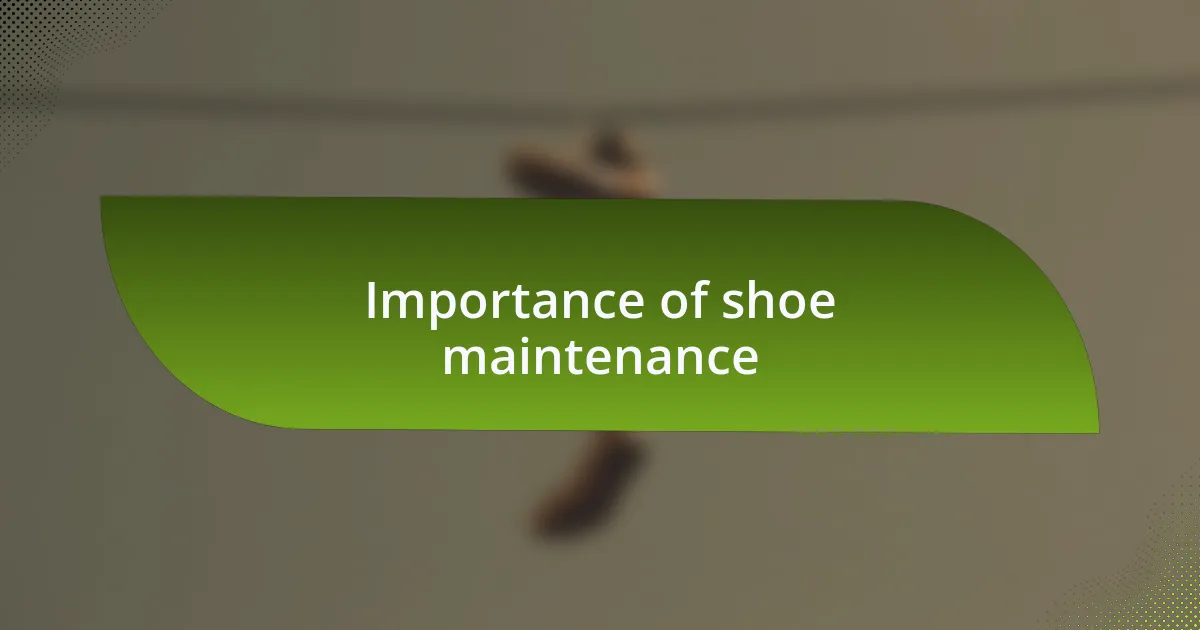 Importance of shoe maintenance