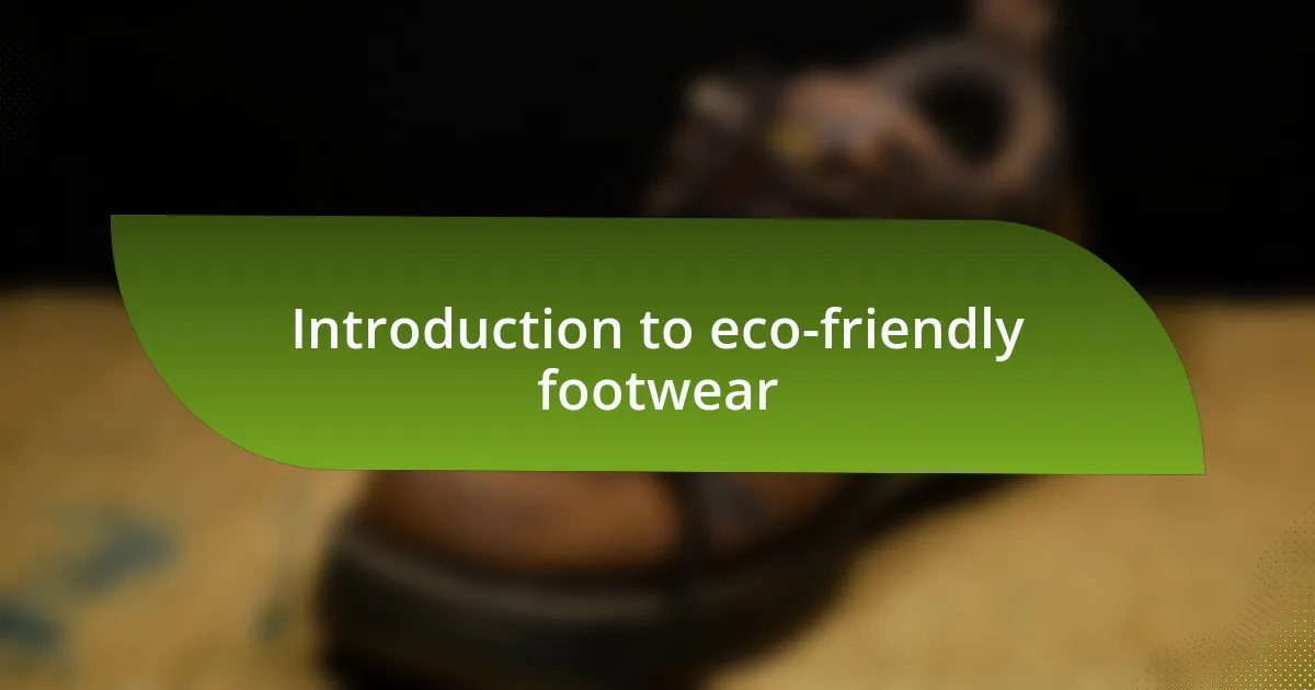 Introduction to eco-friendly footwear