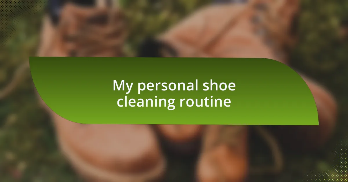 My personal shoe cleaning routine