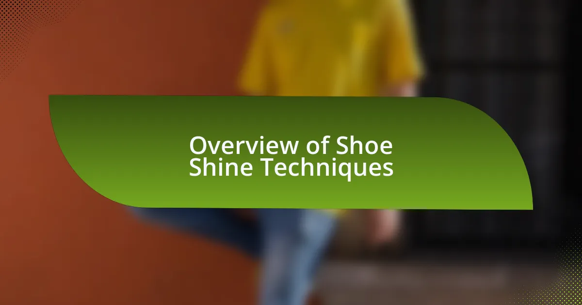 Overview of Shoe Shine Techniques