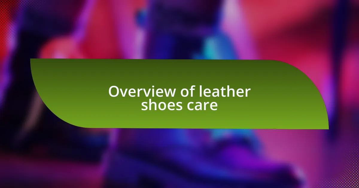 Overview of leather shoes care