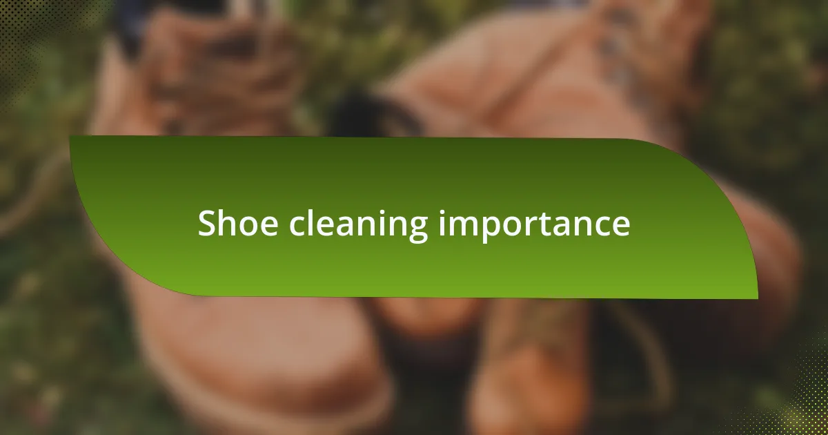 Shoe cleaning importance