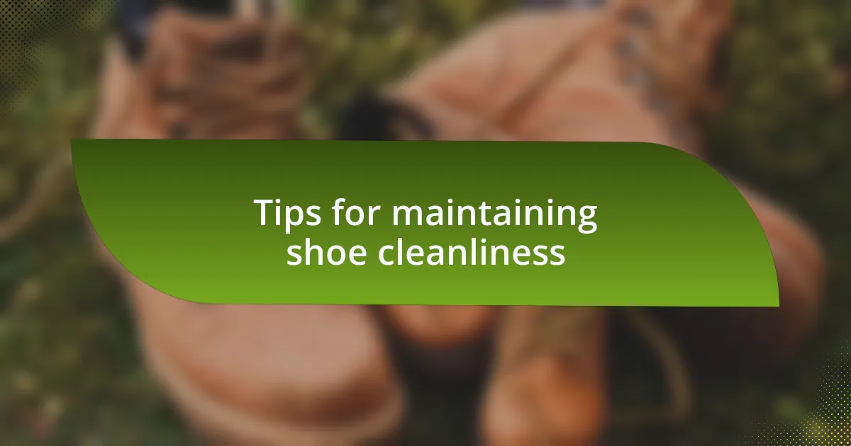 Tips for maintaining shoe cleanliness