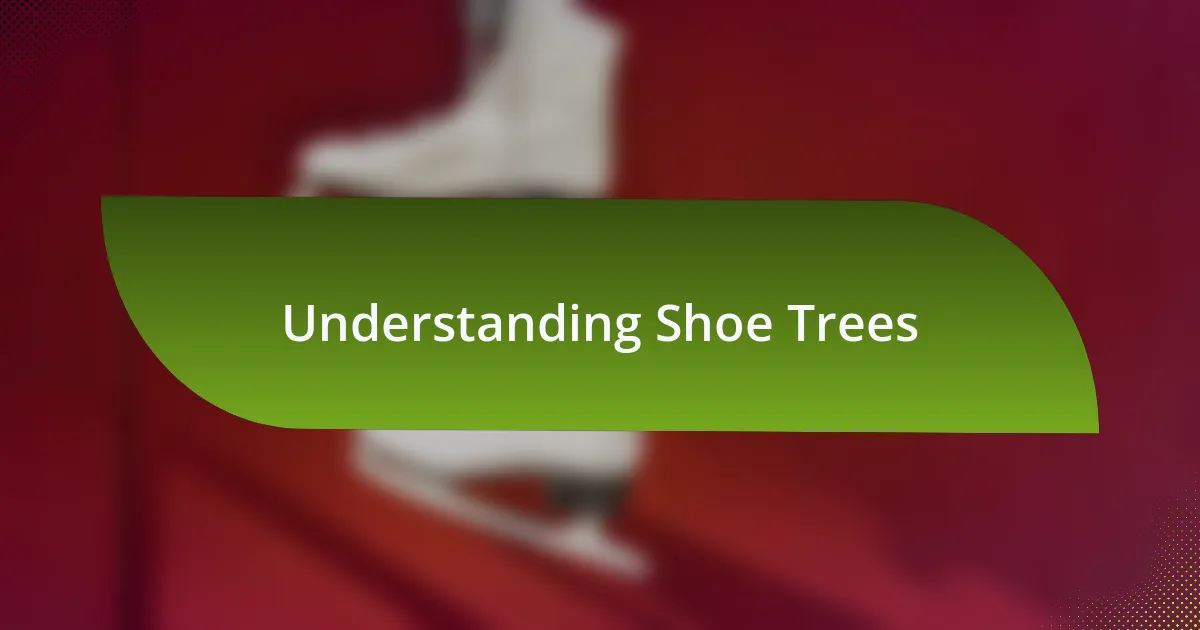 Understanding Shoe Trees