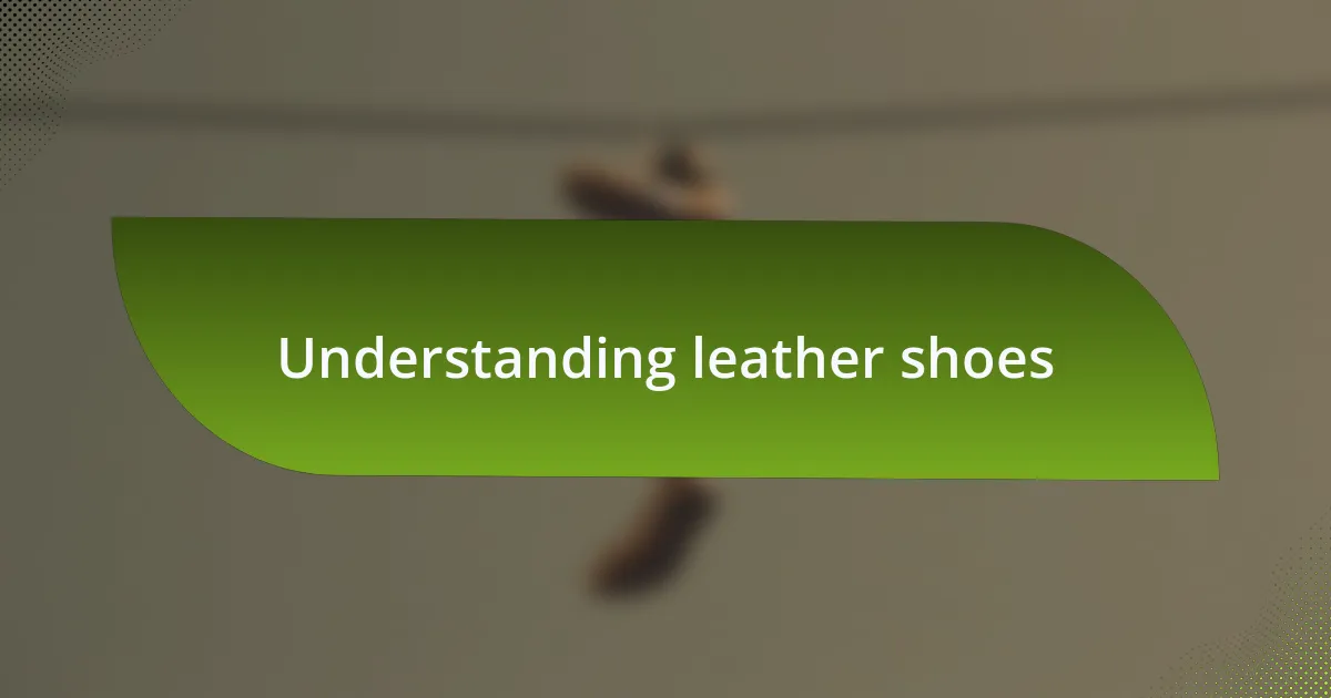 Understanding leather shoes